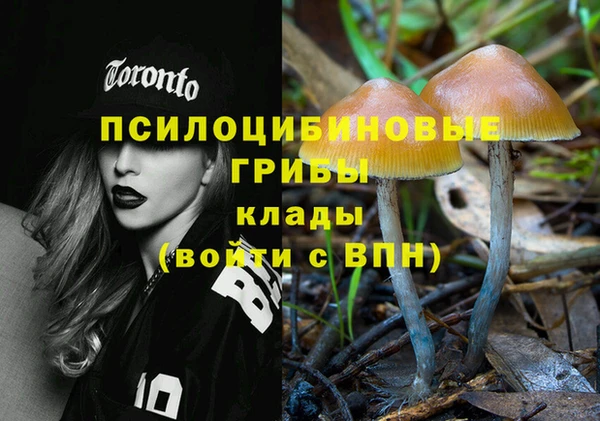 прущий лед Дмитров