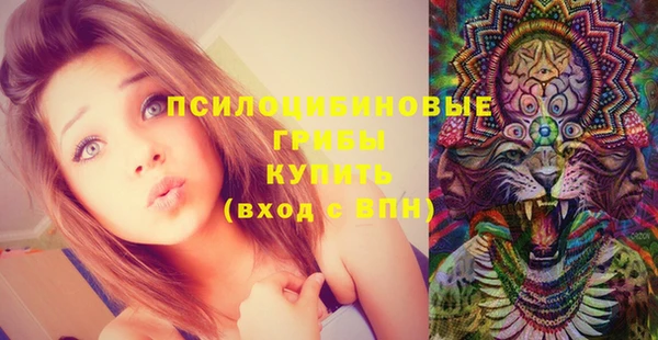 mdma Дмитриев