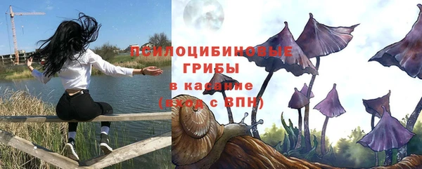 mdma Дмитриев