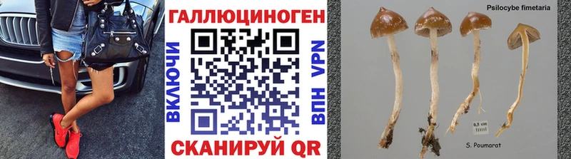 Галлюциногенные грибы GOLDEN TEACHER  Купить  Катав-Ивановск 
