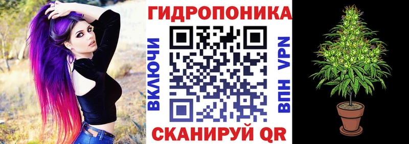 Шишки марихуана VHQ  Купить закладки  Катав-Ивановск 